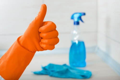 Eco-friendly carpet cleaning service using sustainable transport