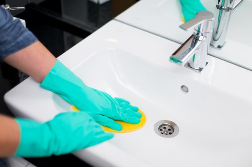 Carpet extraction service for pet stains and smells in Coulsdon