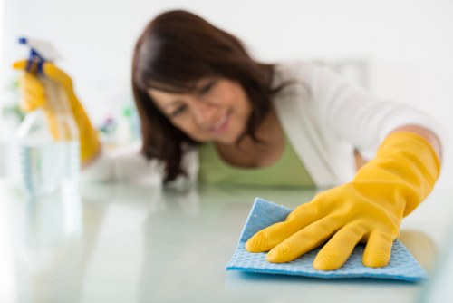 Free quotation planning for carpet cleaning services
