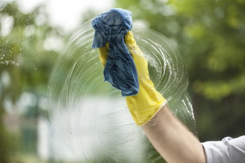 Local pet stain odour removal cleaning process in Coulsdon