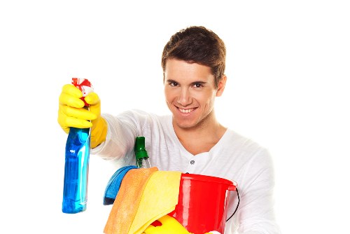 Deep cleaning pet odour treatment for upholstery in Coulsdon