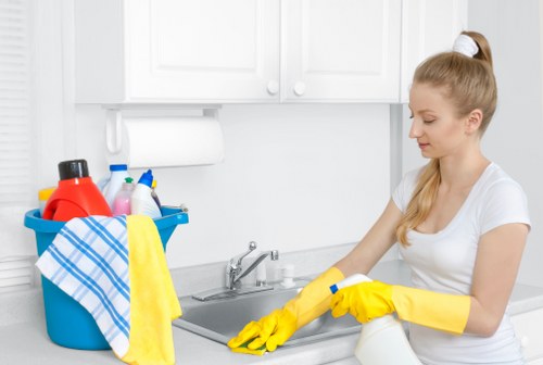 Upholstery cleaning tools prepared for sofa cleaning in Coulsdon